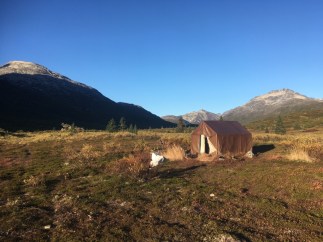 UNADJUSTEDNONRAW_thumb_241 2